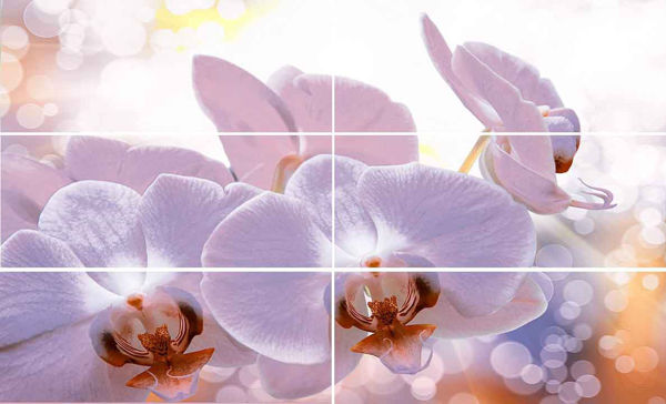 Снимка на Стенна декорация комплект IJ 600 x 1000 Виола орхидея Лилава