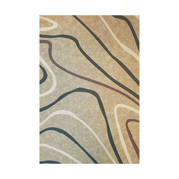Мокетен килим с гумирана антислип подложка и технология хромоджет. Размер на килима: 140х200 см.